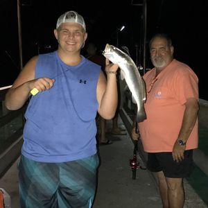 Meet your Posher, Jessie